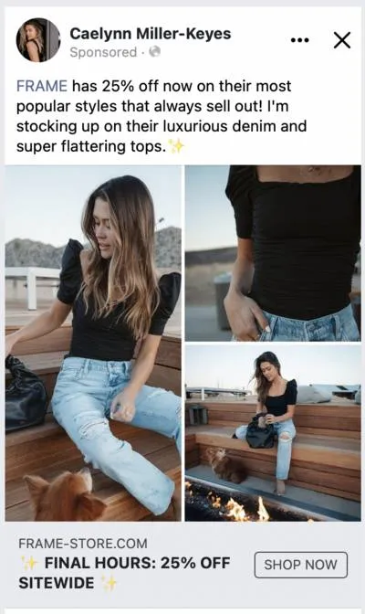 Dark Ads creative format reference example